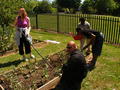 Learners with learning difficulties and disabilities at Grahame Park