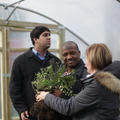 Inspecting plants in the greenhouse